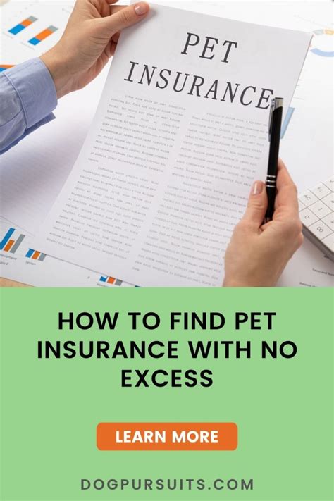 cheap pet insurance no excess.